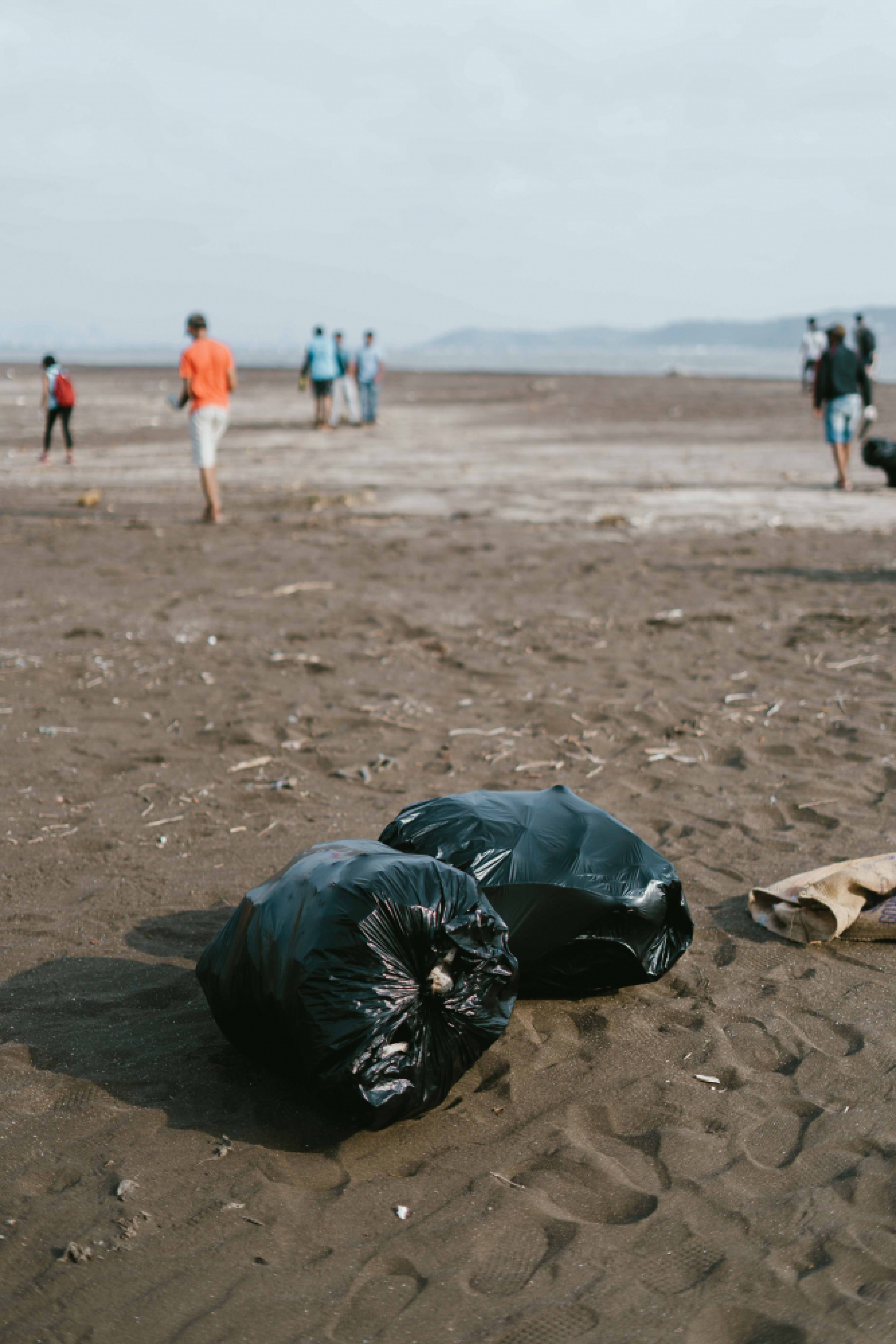 Citi Thailand encourages volunteers to help save the sea